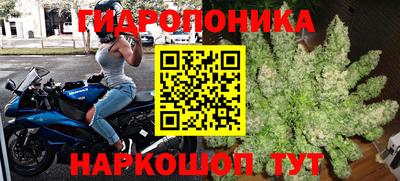 марихуана Кохма