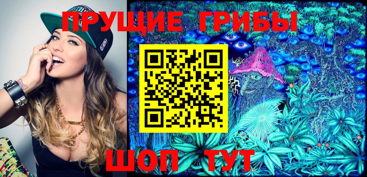 Галлюциногенные грибы Psilocybe  Вход с VPN  Сухой Лог  Галлюциногенные грибы мицелий 